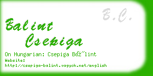 balint csepiga business card